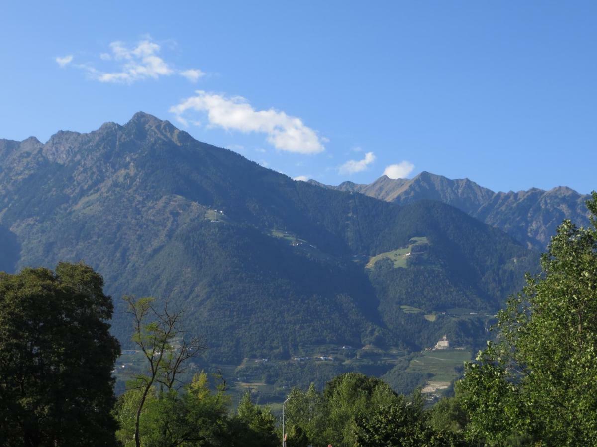 Panoramico Lungopassirio Apartment Meran